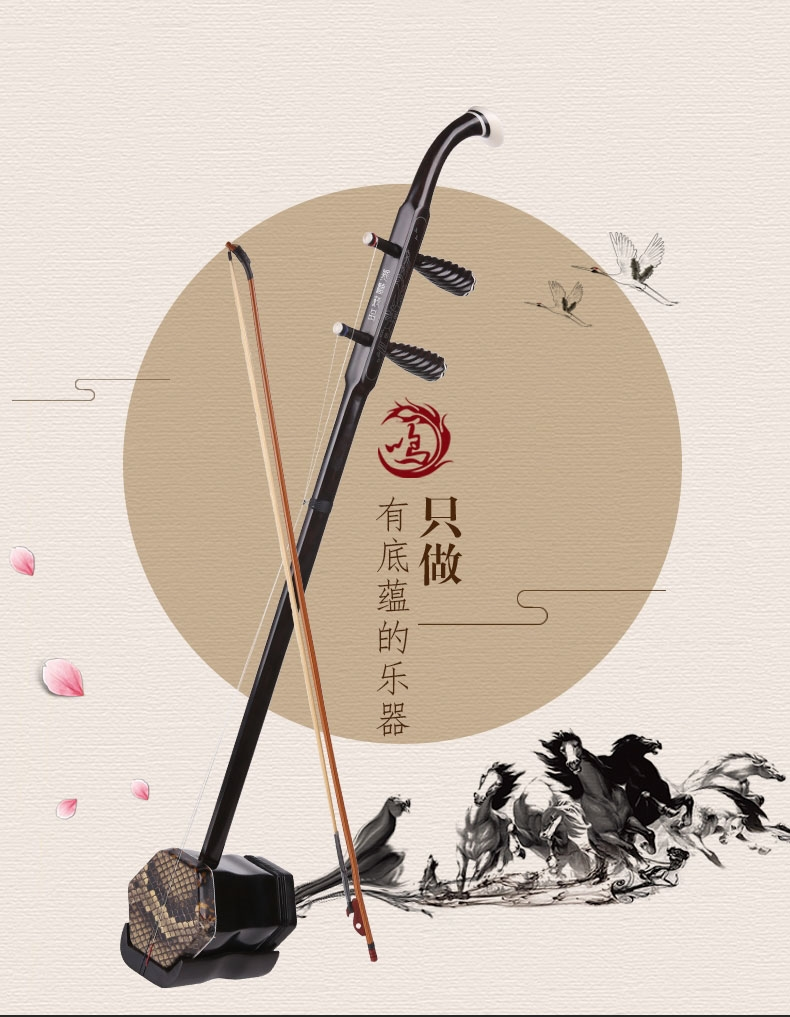 二胡演奏教程pdf，二胡演奏教程王树生编著