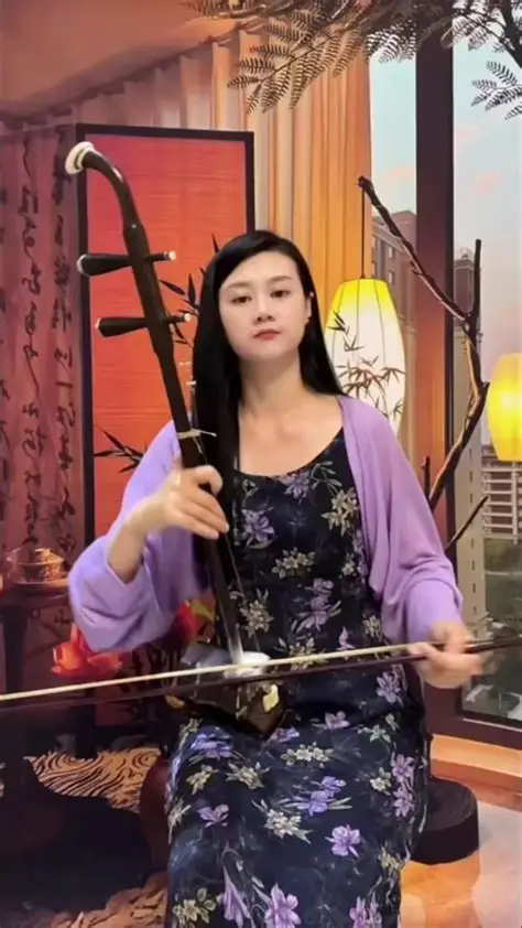 二胡教程大全，二胡教程视频二
